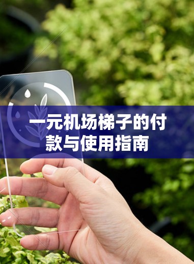 一元机场梯子的付款与使用指南