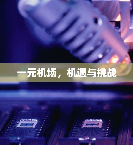 一元机场,机遇与挑战 一元机场,机遇与挑战