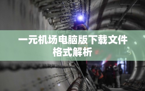 一元机场电脑版下载文件格式解析