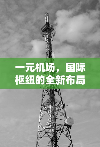 一元机场，国际枢纽的全新布局—新域名选择与品牌价值解析