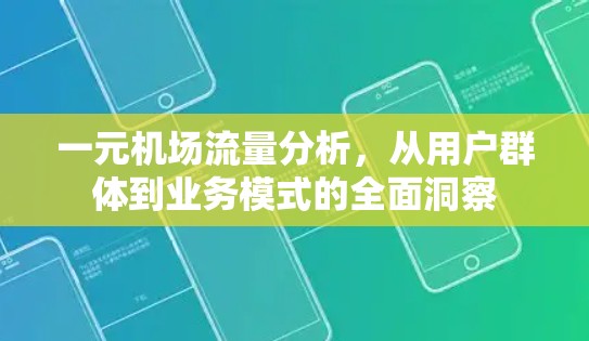 一元机场流量分析,从用户群体到业务模式的全面洞察 一元机场流量分析,从用户群体到业务模式的全面洞察