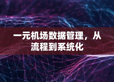 一元机场数据管理，从流程到系统化