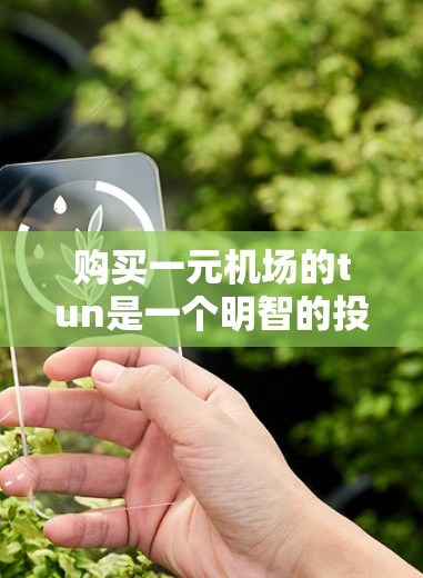 购买一元机场的tun是一个明智的投资决策，但需要仔细考虑多个因素。以下是详细的分析和建议