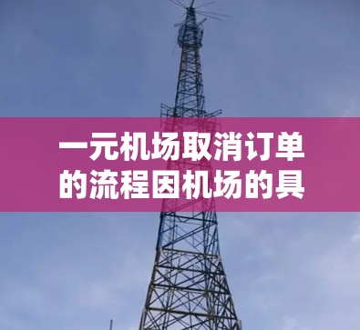 一元机场取消订单的流程因机场的具体操作而有所不同，以下是常见的操作步骤和注意事项