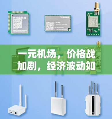 一元机场，价格战加剧，经济波动如何？