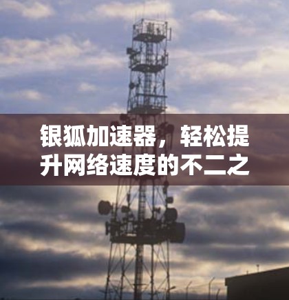 银狐加速器,轻松提升网络速度的不二之选 银狐加速器,轻松提升网络速度的不二之选