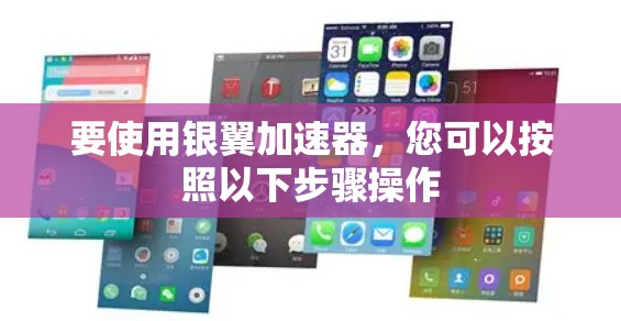 要使用银翼加速器，您可以按照以下步骤操作