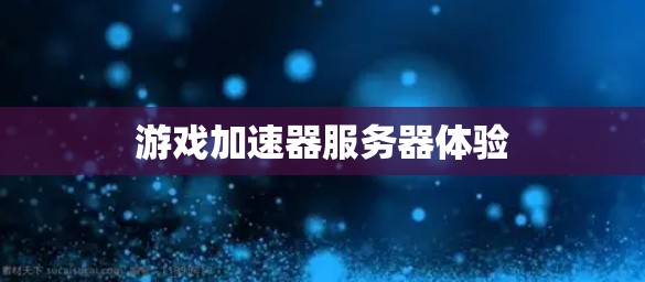 游戏加速器服务器体验