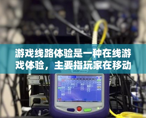 游戏线路体验是一种在线游戏体验，主要指玩家在移动过程中通过动态显示的路线来帮助完成目标或任务。以下是关于游戏线路体验的详细分析