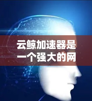 云鲸加速器是一个强大的网络加速软件,可以帮助用户提升数据流的速度和带宽。以下是对云鲸加速器节点的推荐,根据不同的加速需求选择合适的类型 云鲸加速器是一个强大的网络加速软件,可以帮助用户提升数据流的速度和带宽。以下是对云鲸加速器节点的推荐,根据不同的加速需求选择合适的类型