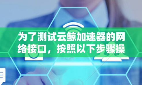 为了测试云鲸加速器的网络接口，按照以下步骤操作