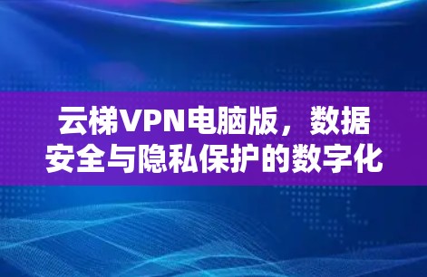 云梯VPN电脑版，数据安全与隐私保护的数字化解决方案