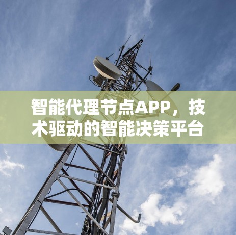 智能代理节点APP,技术驱动的智能决策平台 智能代理节点APP,技术驱动的智能决策平台