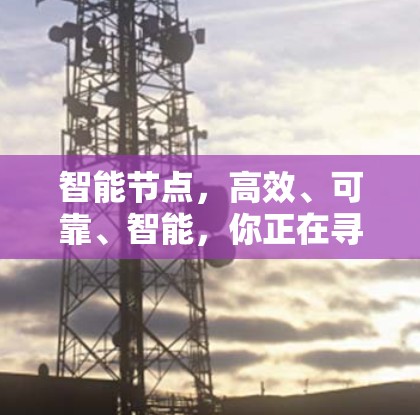 智能节点,高效、可靠、智能,你正在寻找它? 智能节点,高效、可靠、智能,你正在寻找它?