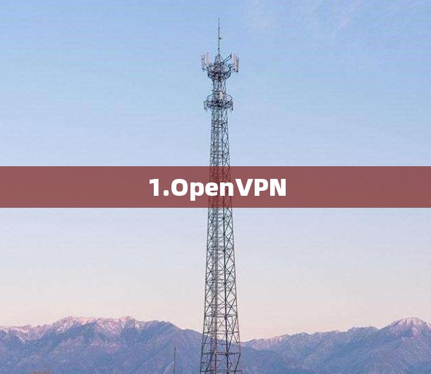 1.OpenVPN