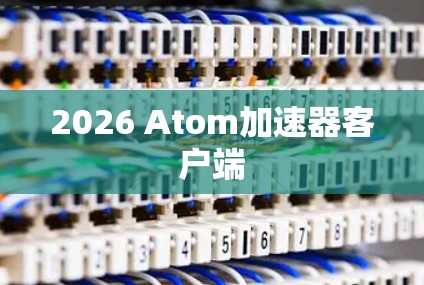 2026 Atom加速器客户端