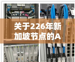 关于226年新加坡节点的Atom加速器，这是一个与国际顶尖加速器合作的项目，旨在提升新加坡在纳米电子领域的技术实力。以下是一些相关信息