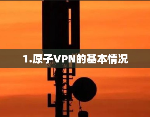 1.原子VPN的基本情况