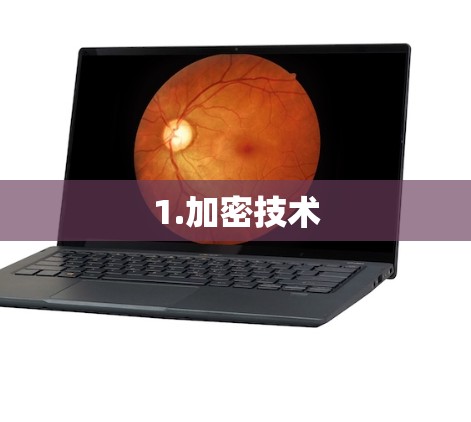 1.加密技术 1.加密技术