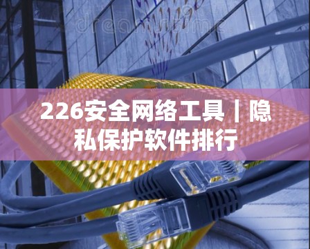 226安全网络工具|隐私保护软件排行 226安全网络工具|隐私保护软件排行