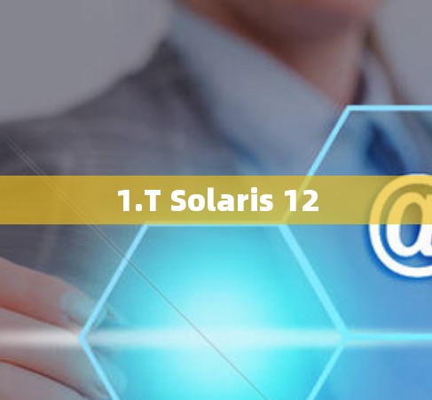 1.T Solaris 12 1.T Solaris 12