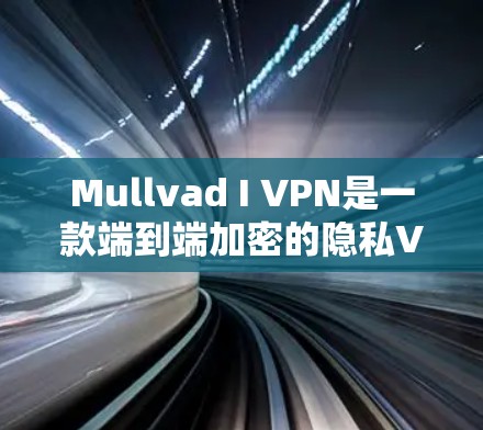 Mullvad I VPN是一款端到端加密的隐私VPN产品，旨在为用户提供安全的网络访问体验。以下是对其安全性进行的分析
