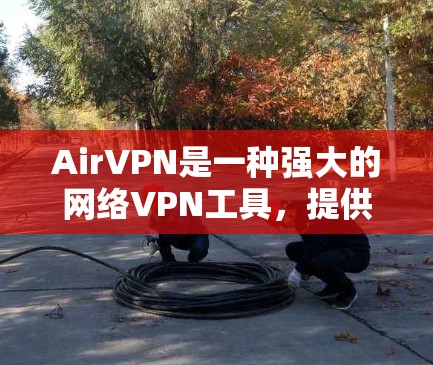 AirVPN是一种强大的网络VPN工具，提供加密、多点网络和反间谍功能。以下是关于AirVPN电脑端使用的详细步骤和注意事项