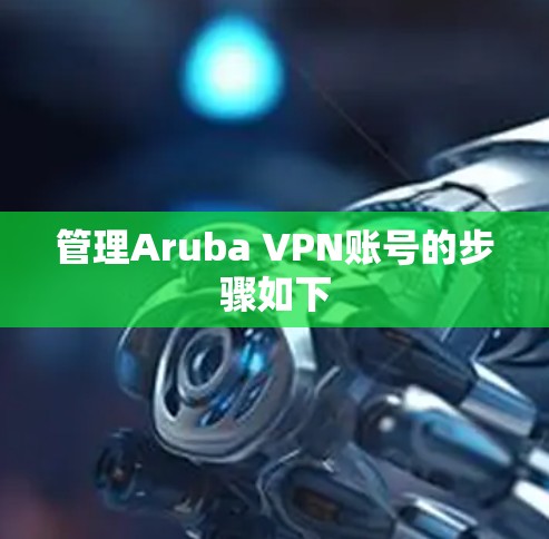 管理Aruba VPN账号的步骤如下