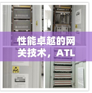 性能卓越的网关技术,ATLlas VPN翻墙软件的高效通信解决方案 性能卓越的网关技术,ATLlas VPN翻墙软件的高效通信解决方案