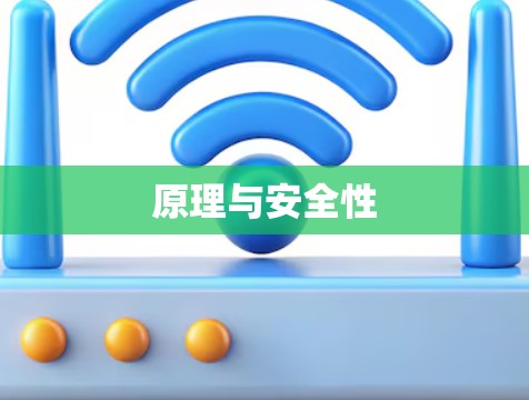 原理与安全性