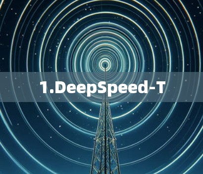 1.DeepSpeed-T