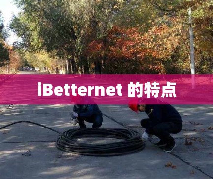 iBetternet 的特点