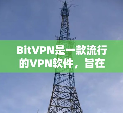 BitVPN是一款流行的VPN软件，旨在提供安全、便捷的网络连接服务。以下是使用BitVPN的指南