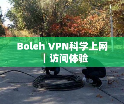 Boleh VPN科学上网｜访问体验