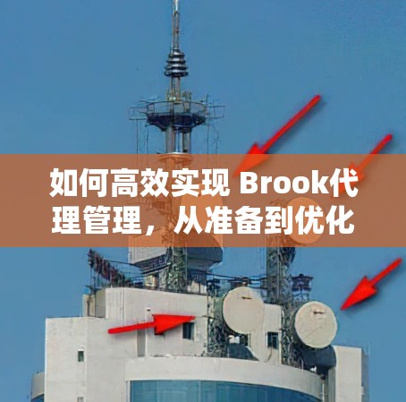 如何高效实现 Brook代理管理,从准备到优化 如何高效实现 Brook代理管理,从准备到优化
