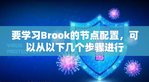 要学习Brook的节点配置，可以从以下几个步骤进行