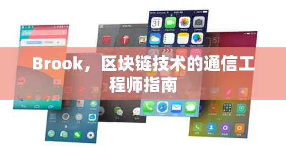 Brook,区块链技术的通信工程师指南 Brook,区块链技术的通信工程师指南