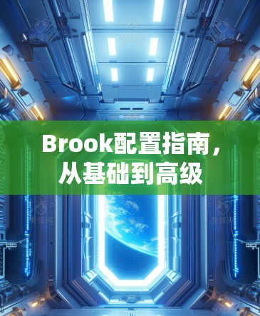Brook配置指南，从基础到高级
