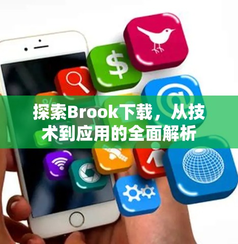 探索Brook下载,从技术到应用的全面解析 探索Brook下载,从技术到应用的全面解析
