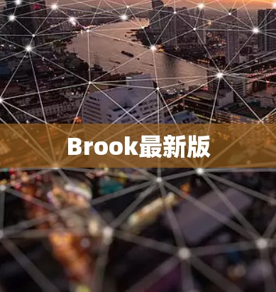 Brook最新版