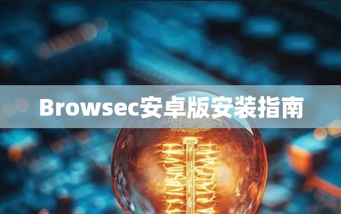 Browsec安卓版安装指南 Browsec安卓版安装指南
