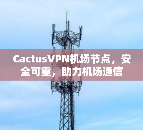 CactusVPN机场节点，安全可靠，助力机场通信