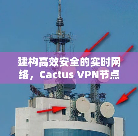 建构高效安全的实时网络,Cactus VPN节点管理 建构高效安全的实时网络,Cactus VPN节点管理