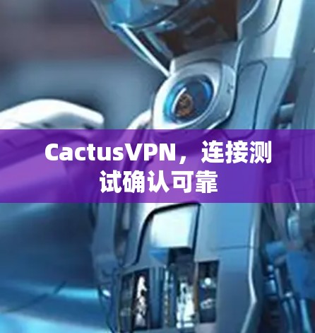CactusVPN，连接测试确认可靠