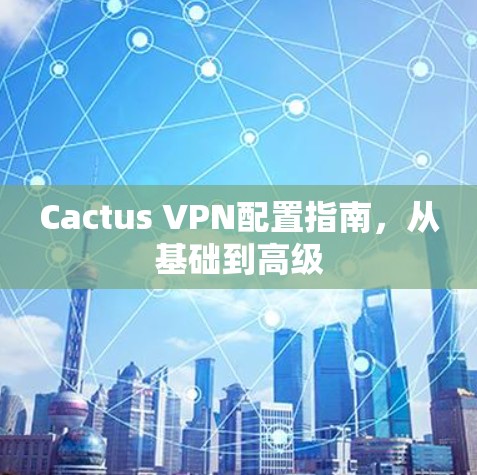 Cactus VPN配置指南,从基础到高级 Cactus VPN配置指南,从基础到高级