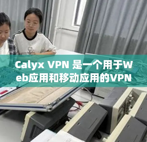 Calyx VPN 是一个用于Web应用和移动应用的VPN软件，允许用户在云端或移动设备上连接到外部服务器。以下是使用 Calyx VPN 连接到 VPN 的步骤