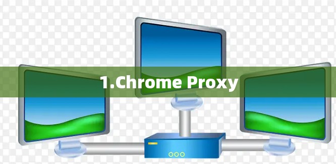 1.Chrome Proxy