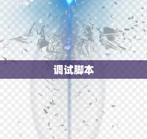 调试脚本
