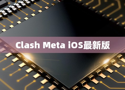 Clash Meta iOS最新版