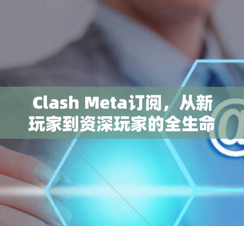 Clash Meta订阅，从新玩家到资深玩家的全生命周期指南